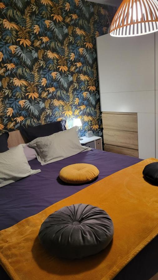 Chaleureux Appart 2 Pieces Entierement Renove. Apartment Saint-Laurent-du-Var Bagian luar foto